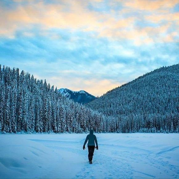 Meet your Posher, Angie - Picture 1 of 1